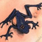 Frog Tatuaj Semnificație