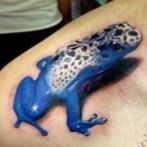 Frog Tatuaj Semnificație