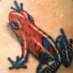 Frog Tatuaj Semnificație