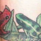 Frog Tatuaj Semnificație