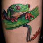 Frog Tatuaj Semnificație