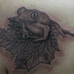 Tetoválás békák érték