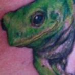 Frog Tatuaj Semnificație