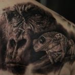 Frog Tatuaj Semnificație