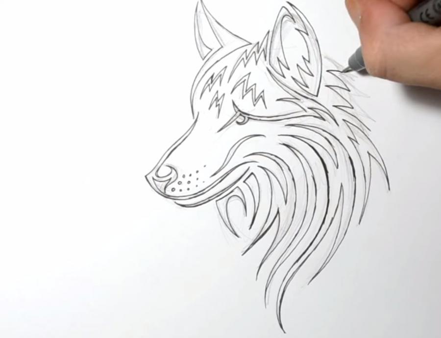 Татуювання вовків поетапно - як малювати татуювання як легко і просто малювати