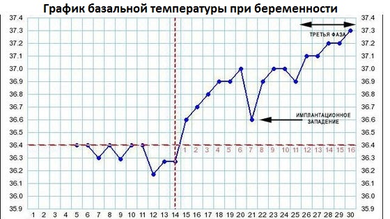 Температура перед місячними чому піднімається, норма, навіщо вимірювати