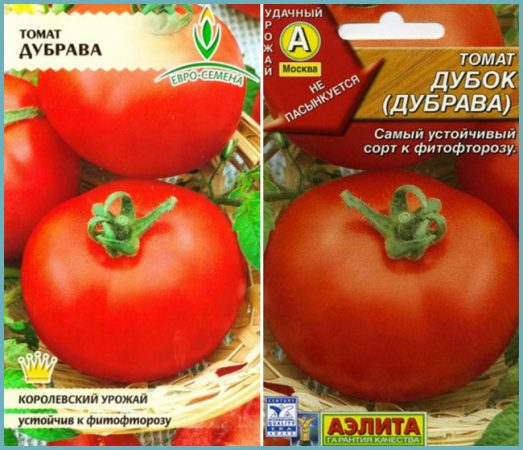 Tomato de struguri de stejar și descrierea soiului, recenzii, fotografie de tomate și tufișuri