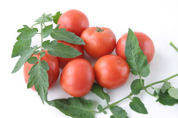 Tomato de struguri de stejar și descrierea soiului, recenzii, fotografie de tomate și tufișuri