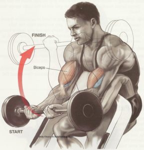 Formarea bicepsului pe banca lui Scott, academia de sport