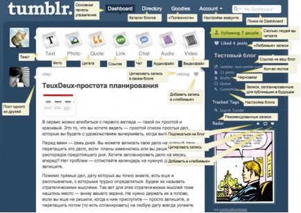 Tumblr - program educațional - blog al delfinilor