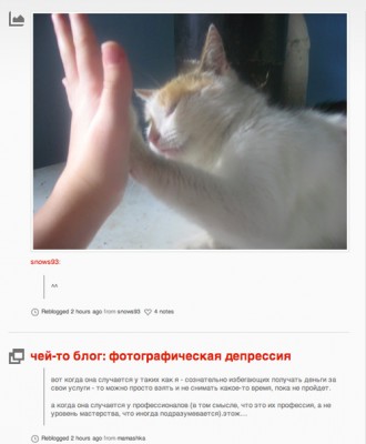 Tumblr - лікнеп - блог оляпки