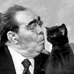 Уїнстон Черчілль - кототека - найцікавіше про світ кішок