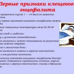 Укус шершня і його наслідки, фото і що робити в домашніх умовах перша допомога при укусах