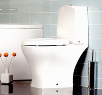 O toaletă care nu se leagă niciodată de legătura pură cu standardul ideal