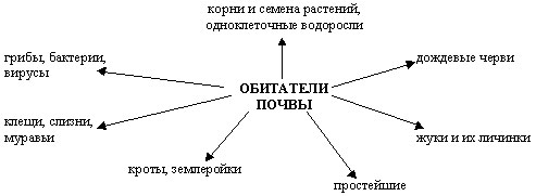 Урок екології в 7-му класі по темі грунт як середовище життя