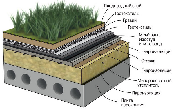 Dispozitivul acoperișului verde sfaturi utile și nuanțe