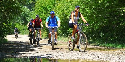 Tipuri de turism de biciclete, biciclete pentru ciclism