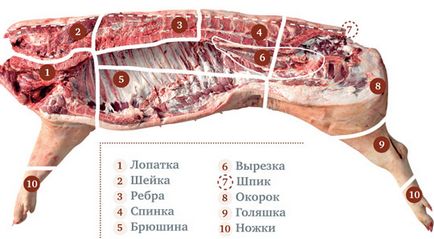 Selecție de coaste de porc pentru friptură, picioare pe frig