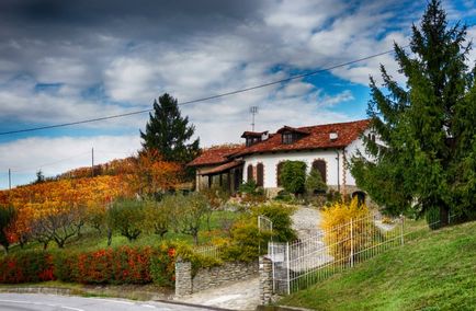 Vin și gastronomic traseu în Piemont - Wine Site