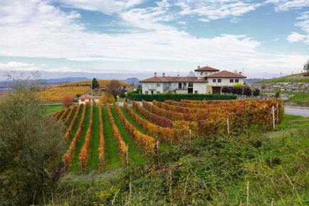 Vin și gastronomic traseu în Piemont - site-ul vinului