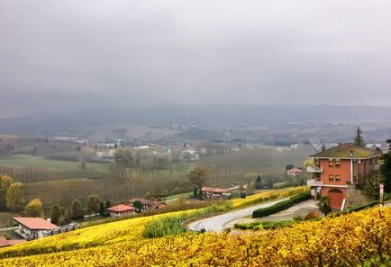 Vin și gastronomic traseu în Piemont - site-ul vinului