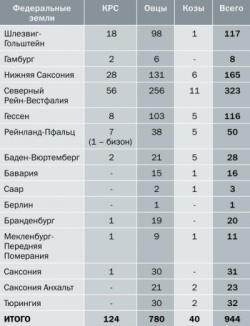 Virus Schmallenberg aspect, distribuție, diagnostic - popular portal științific 