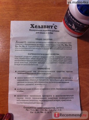 Вітаміни хелавіт з - «з горем навпіл впихаємо в кота кожен день ці краплі