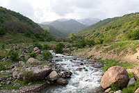 Водні артерії Узбекистану - річки, струмки, саи