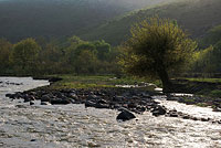 Водні артерії Узбекистану - річки, струмки, саи