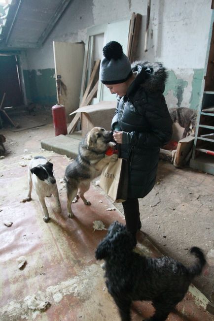 Câinii medici trăiesc în adăpostul Ufa 