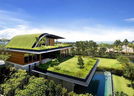 Avantaje și tipuri de acoperișuri verzi