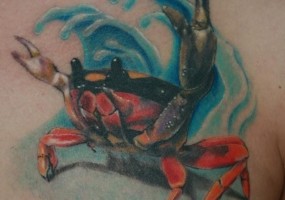 Значення і ескізи татуювання жаби