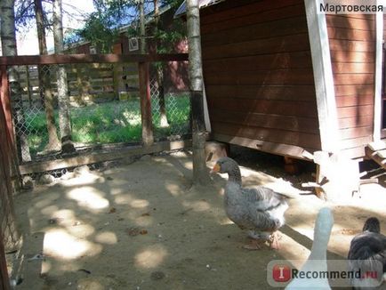 Zubrovnik în Toksovo, Sankt Petersburg - 