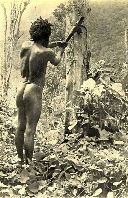 20 Дивних фотографій аборигенів-людожерів Нової Гвінеї
