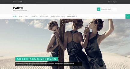 30 gratuit woocommerce wordpress șabloane