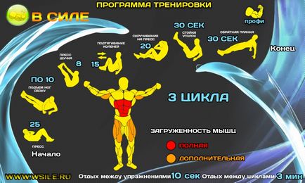 53 Тренувальних програми для початківців, просунутих, професіоналів і майстрів від сайту