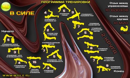 53 Тренувальних програми для початківців, просунутих, професіоналів і майстрів від сайту