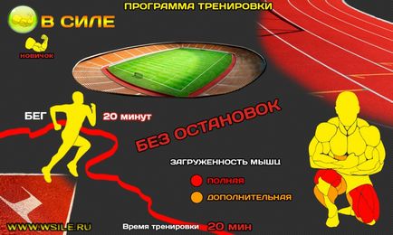 53 Тренувальних програми для початківців, просунутих, професіоналів і майстрів від сайту