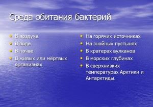 Бактерії їх будова і розмноження, живлення і дихання, систематика і значення