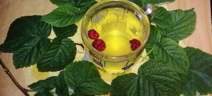 Чай з листя малини - рецепти смачного чаю, як приготувати, користь і шкода напою