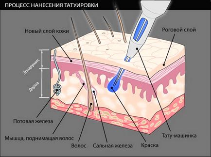 Що відбувається зі шкірою під час нанесення татуювання