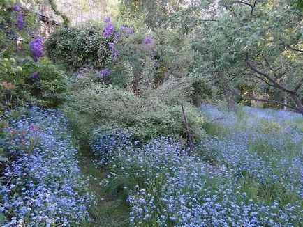 Gama de culori a fotografiei interior de gradina