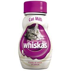 Fie pentru a da lapte de pisică
