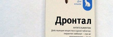 Drontal Használati útmutató macskáknak (alkalmazás) Drontal használati utasítást macskáknak