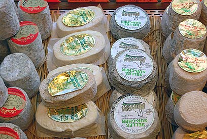 Ciuperci cu smântână și brânză, note culinare ale unui amator