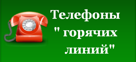 Гъска - Липецк Регионално Перинаталното център, SK