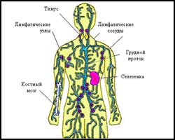 Імунодепресія, імунодепресія лікування, лікування імунодепресії, підвищення імунітету