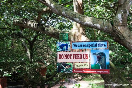 Orașul indian Trivandrum - priveliști ale grădinii zoologice, poze cu Roerichs și animale împăiate cu praf