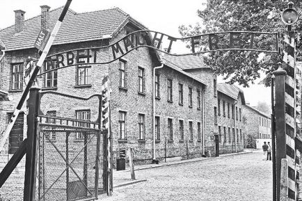 Mărturisirea prizonierilor din Auschwitz pentru a supraviețui, am mâncat iarbă și ziare