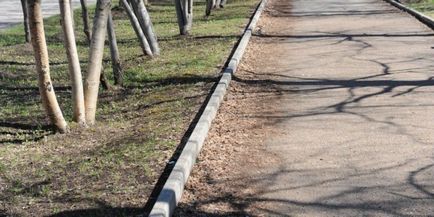 Mint igazgatója az alapkezelő társaság Nizhnekamsk rúgva „helytelen kérésére” (a cég) Mint igazgatója az alapkezelő társaság Nizhnekamsk rúgva „helytelen kérés”